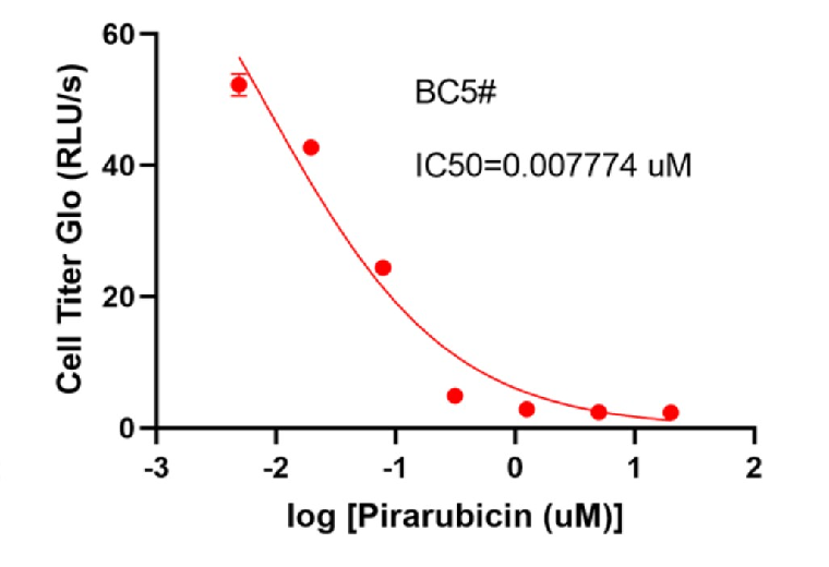 BC5#P